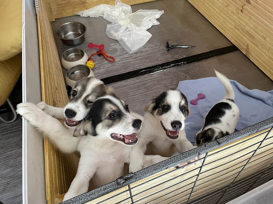 ウクライナへ支援を届けました！