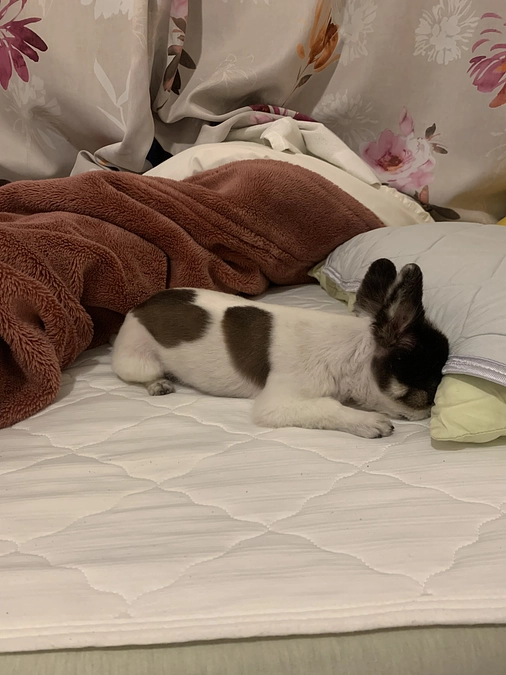 咳少しだけ減ってきました😊