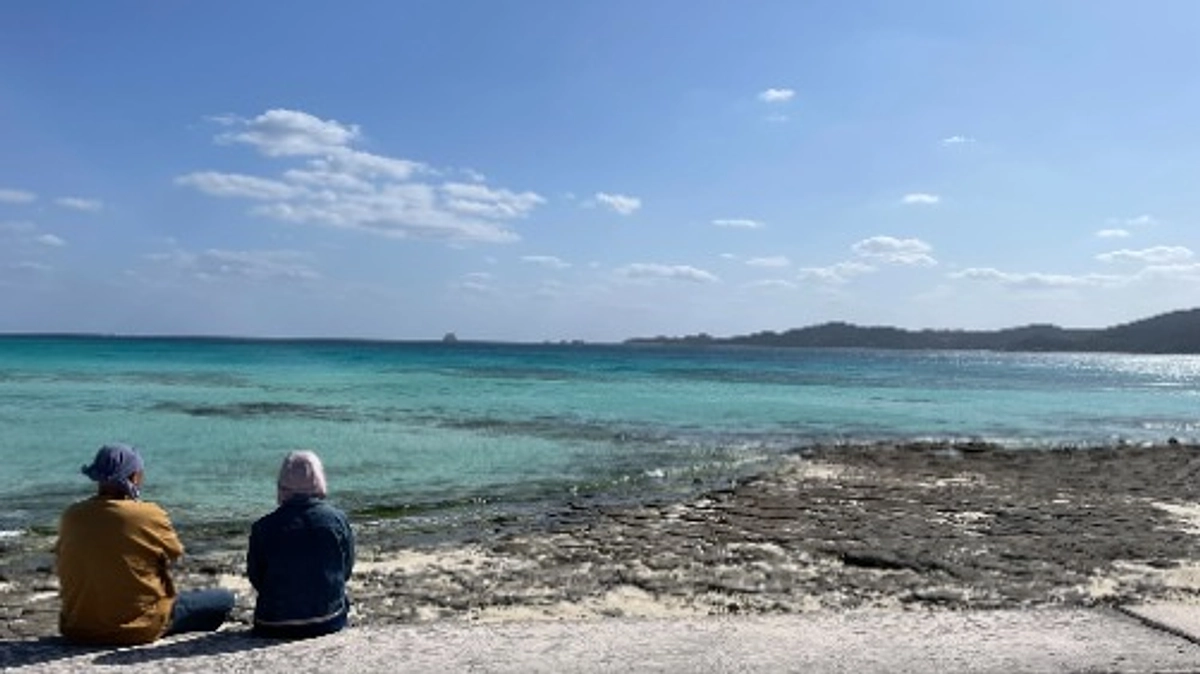 20240330_開所がもうすぐだ～というお話