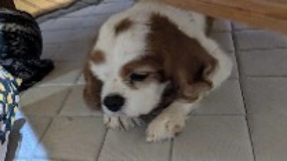 ご支援の感謝と拡散ご協力のお願い