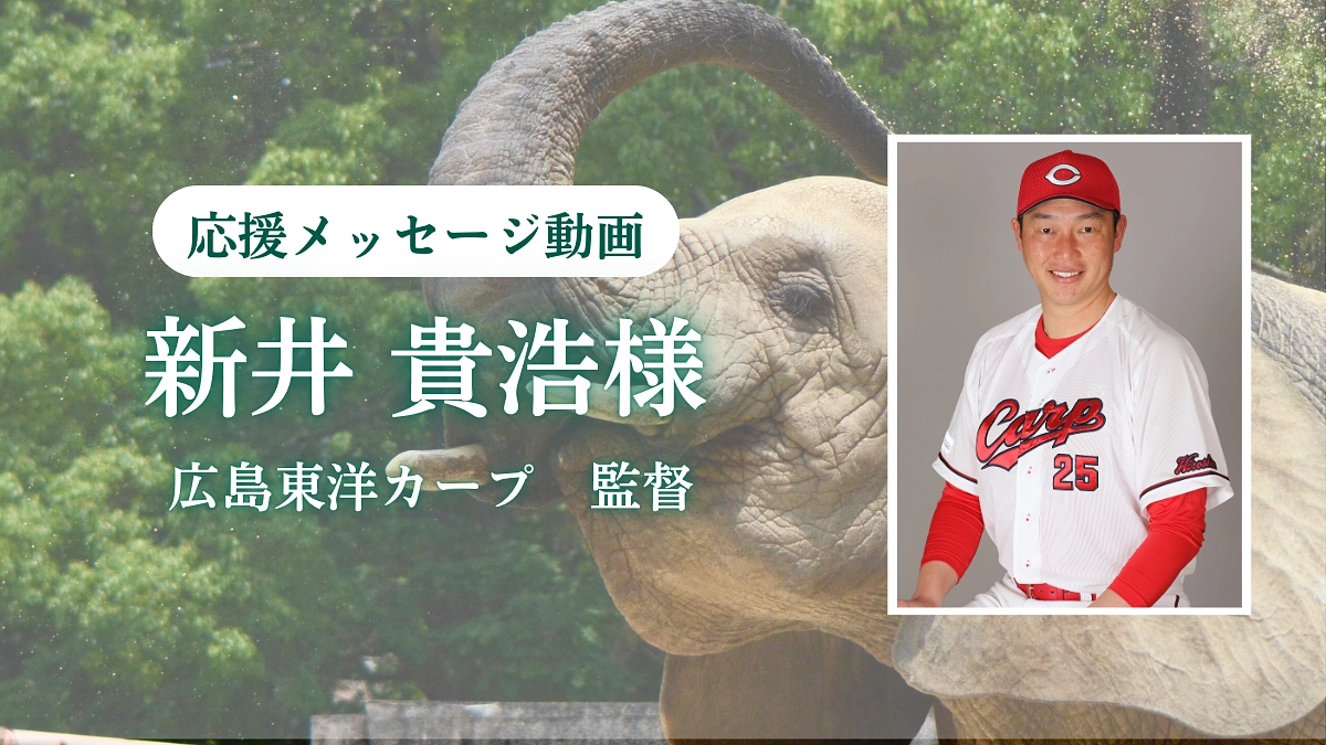 広島東洋カープ 新井貴浩監督から応援メッセージ動画をいただきました！