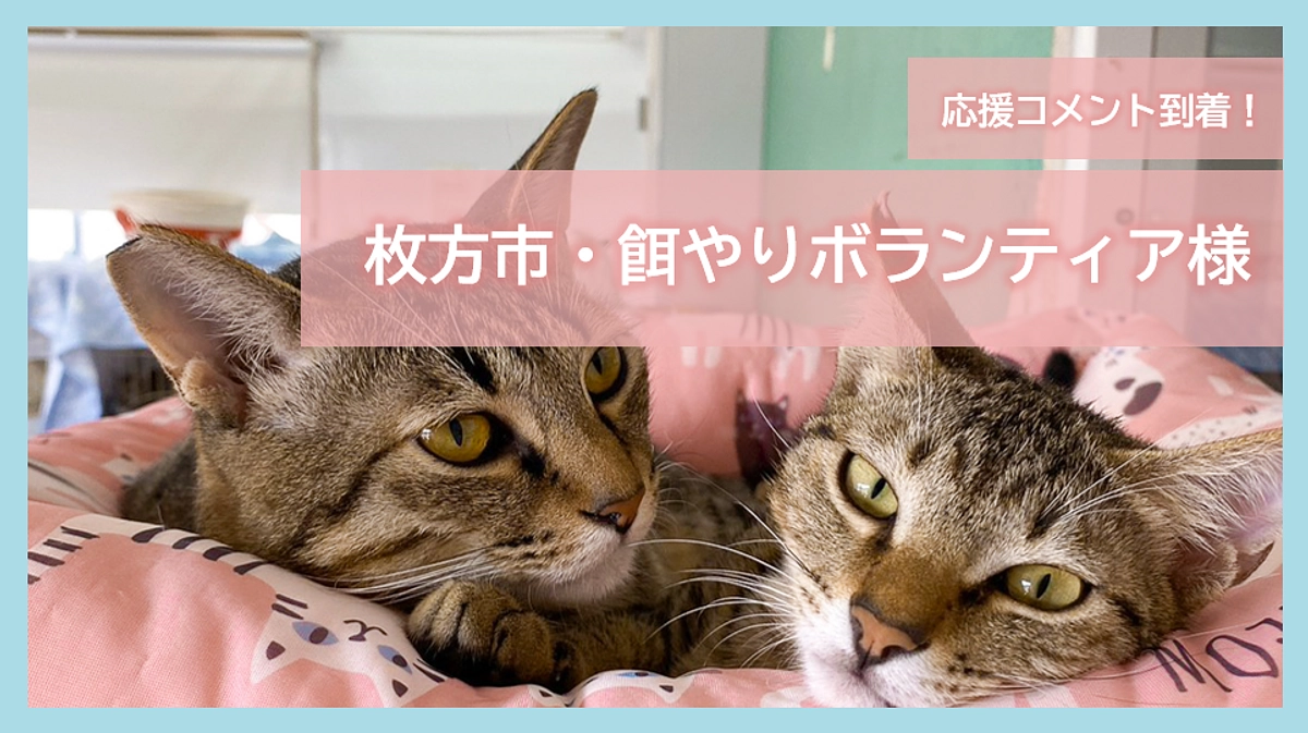 応援コメント到着！～枚方・餌やりボランティアさん～