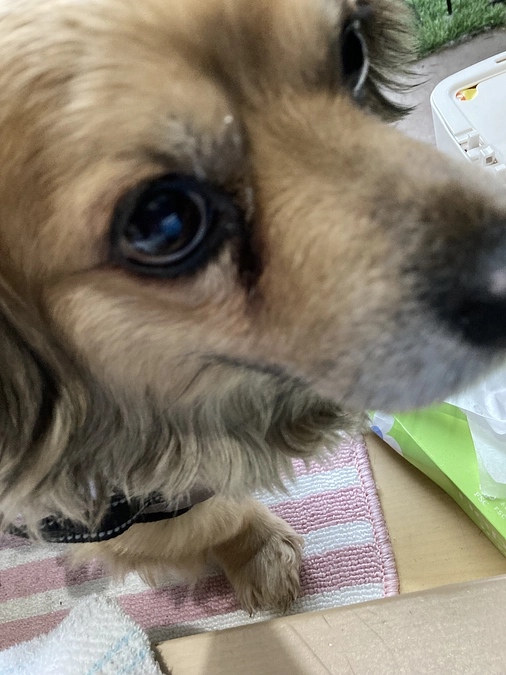 クラファン3日目