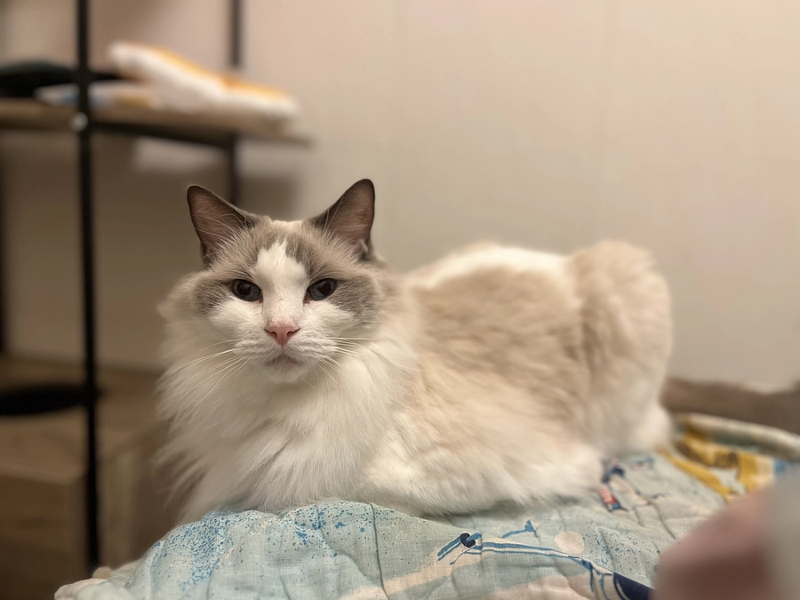 先日の血液検査結果