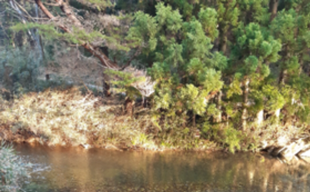 感謝の返礼品は､温泉施設へのご招待状お食事券宿泊権