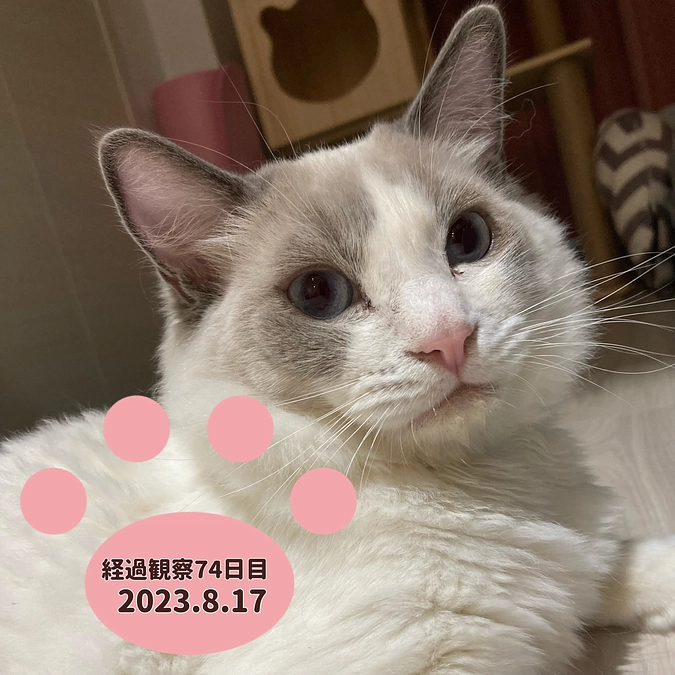 経過観察74日目(2023.8.17)