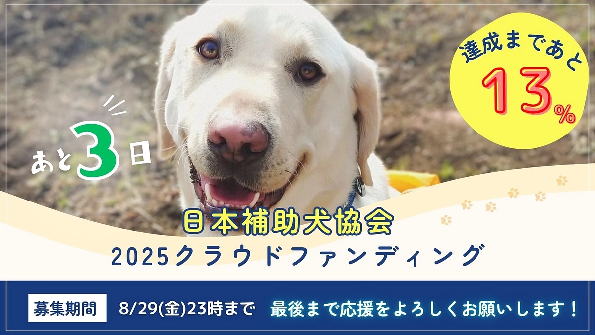【残り3日、あと13％】これまでの活動をまとめました！！