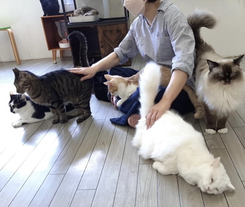 応援メッセージ　【スタッフ　うーたん】