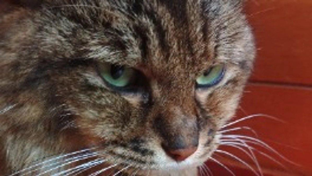 残り2日となりました。