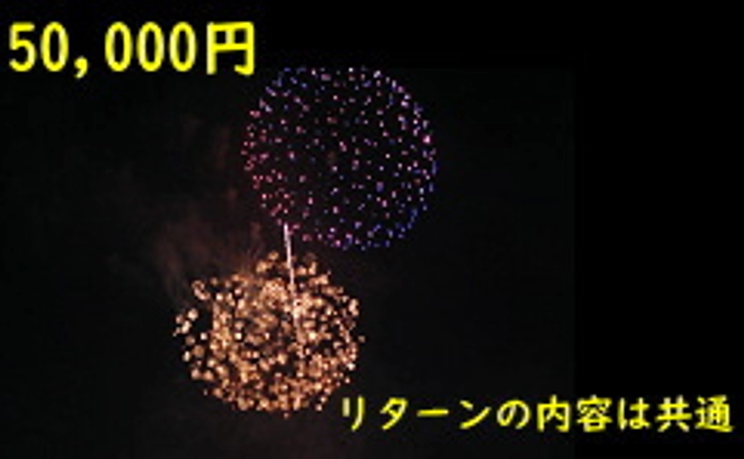 50,000円 +システム利用料(220円)