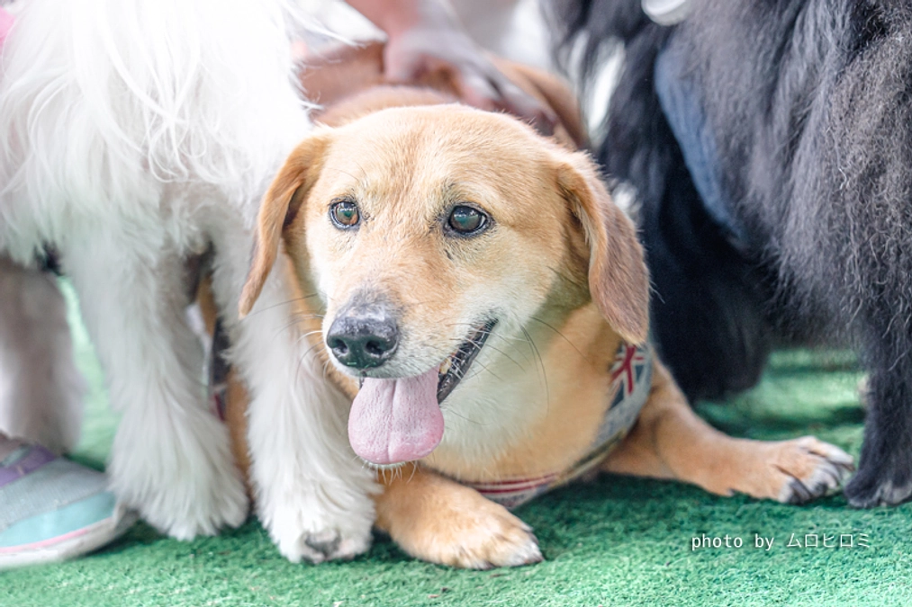 【ご挨拶】プロジェクトスタート！あたたかいご寄付をいただいた皆様に、心から感謝を込めて。