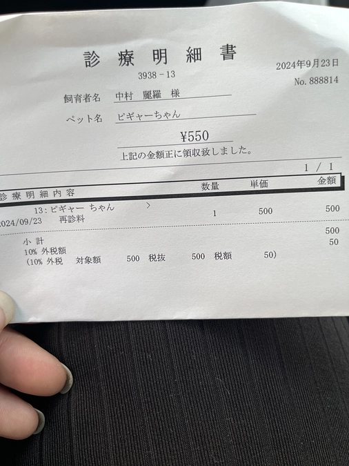 ピギャー病院行ってきました(収支報告)