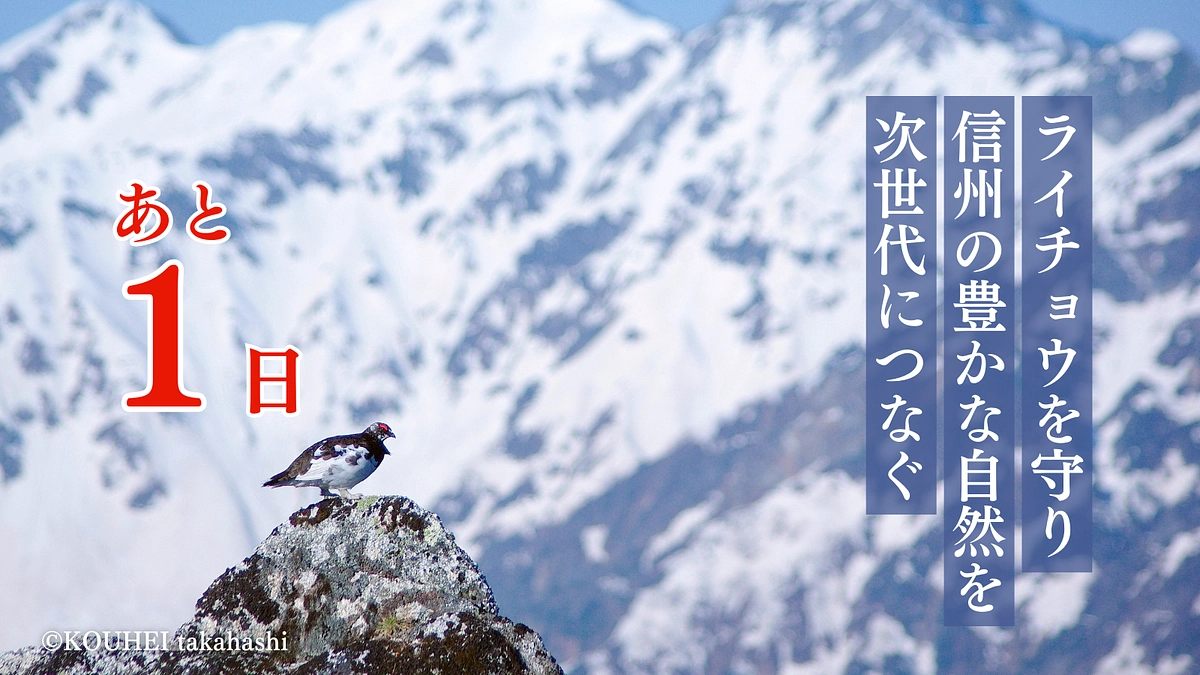 終了まで残り1日。最後までどうぞよろしくお願いします。