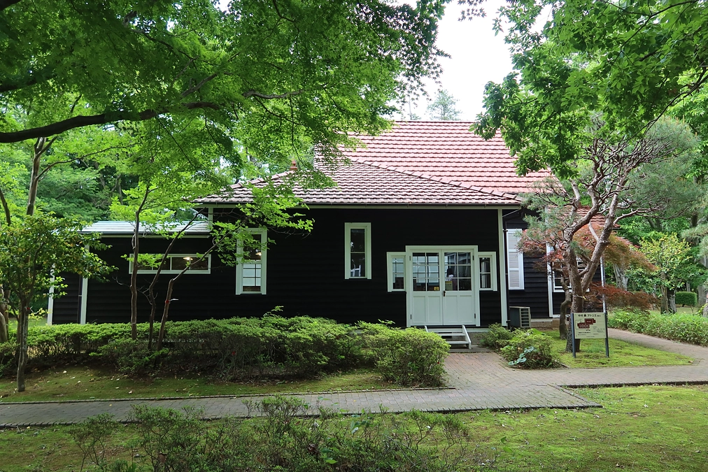 メディア掲載情報②