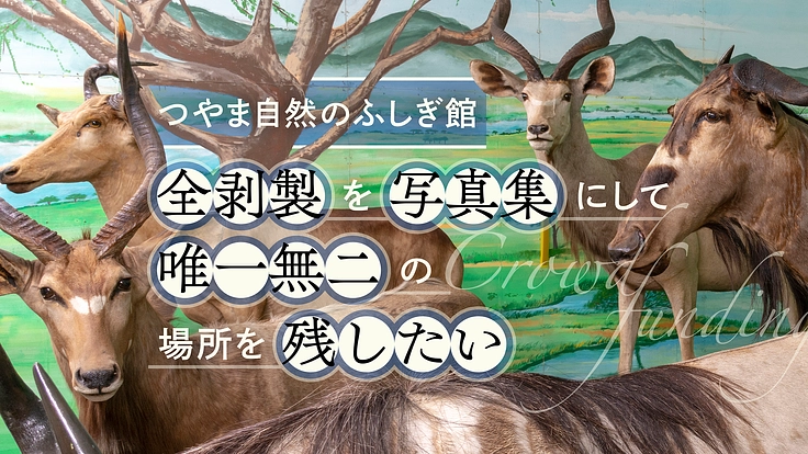 つやま自然のふしぎ館|全剥製を写真集にして唯一無二の場所を残したい