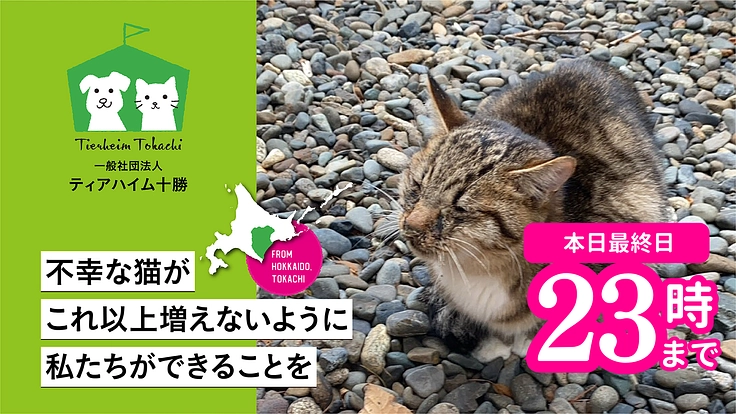 広大な十勝平野に生まれる不幸な野良猫をこれ以上増やさないために