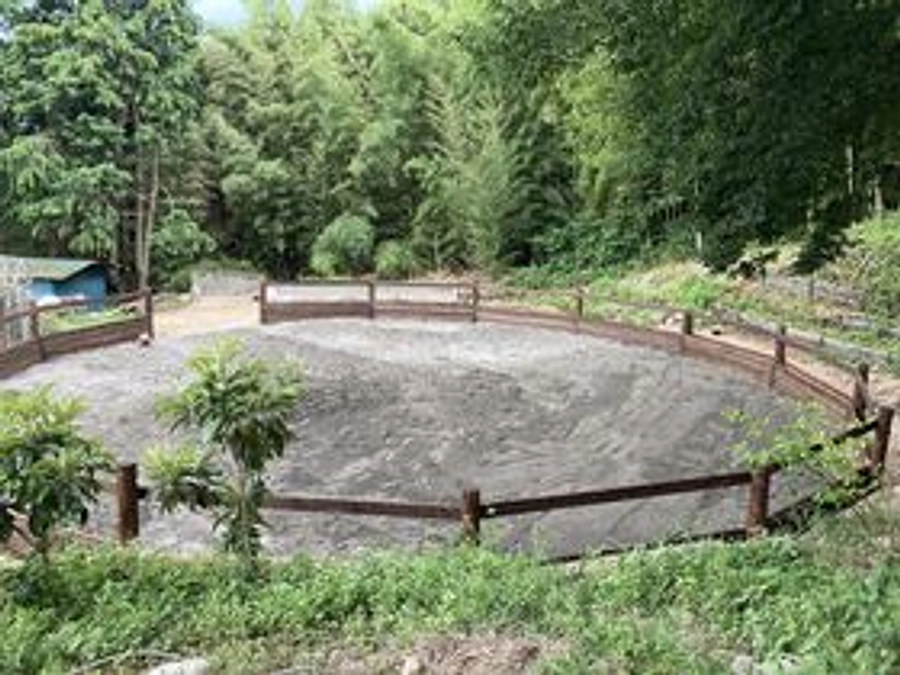 放牧場の制作〜その７。完成！