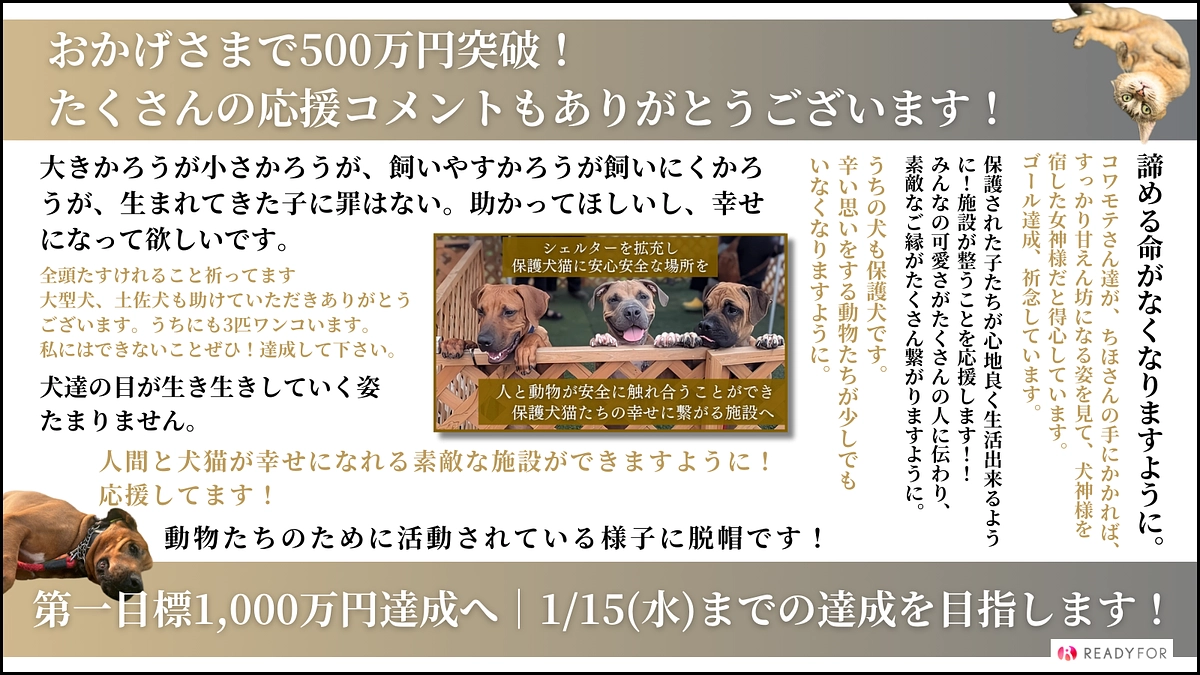 おかげさまで1,000万円の50%、500万円を突破しました！
