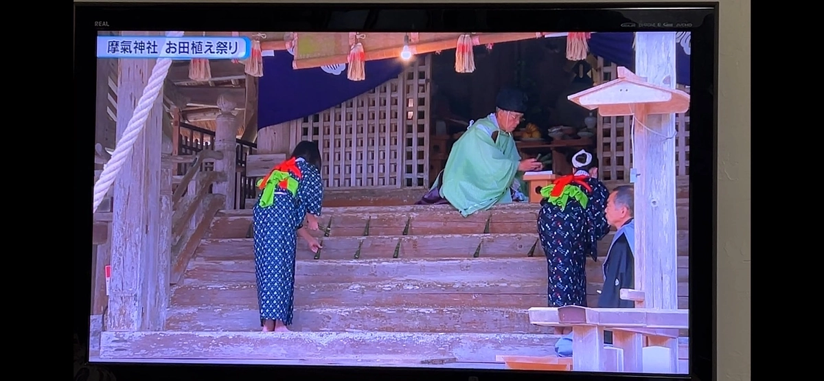 「なんたんテレビ」で紹介していただきました