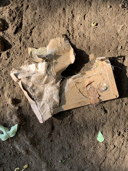 危惧していた事が起こってしまいました。11月24日。