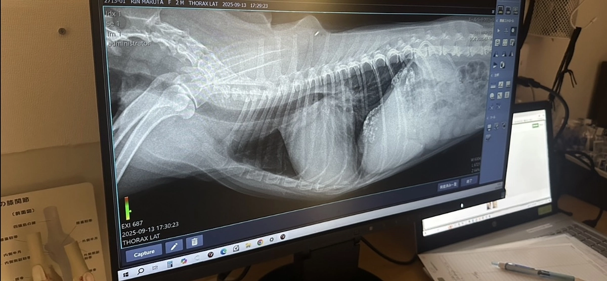 定期検診に行ってきました！