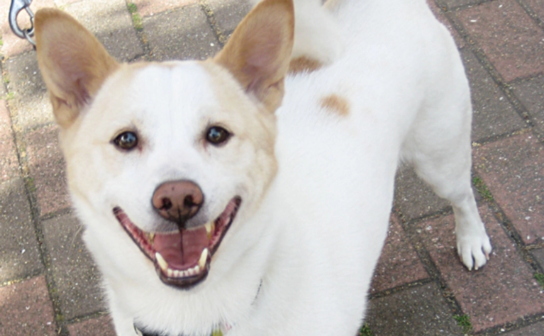 全力応援コース｜10,000円