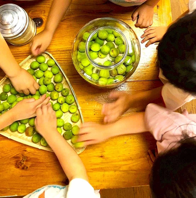 目標額５０％達成！