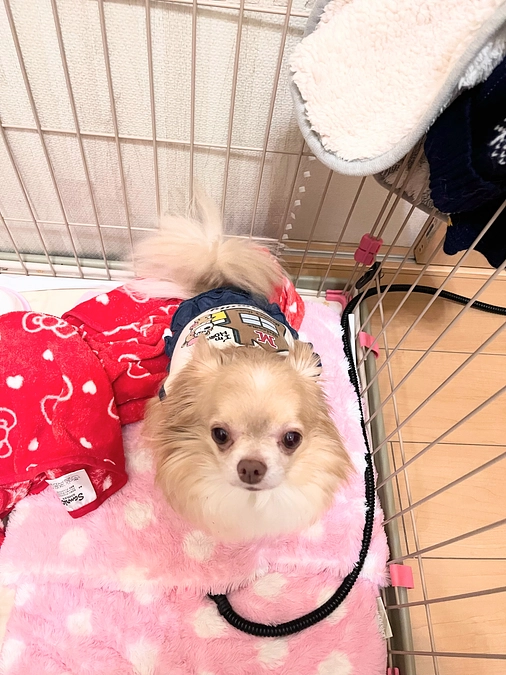 クラウドファンディングを初めて