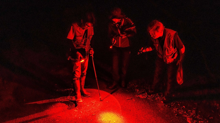 世界自然遺産やんばるの豊かな自然を後世に残していくため、ご支援を！