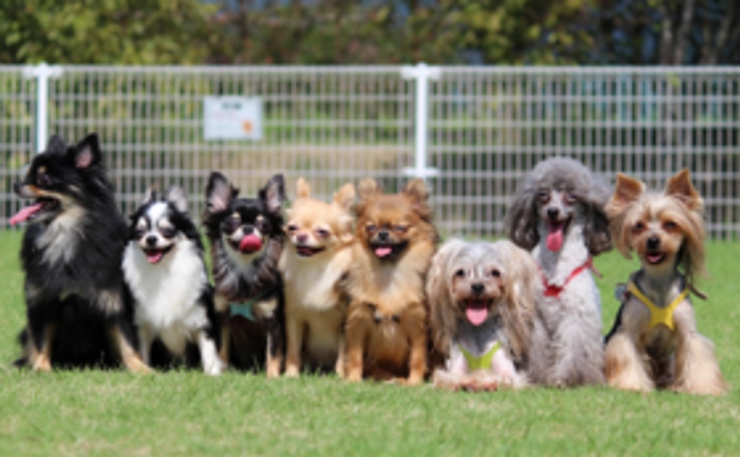 お気軽ご支援コース