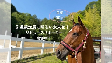 引退競走馬に明るい未来を　リトレースサポーター募集中！ のトップ画像
