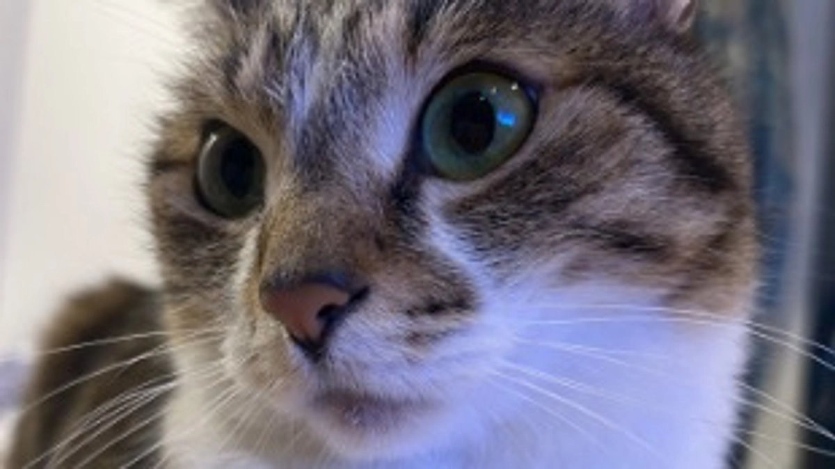 ２週間経過報告。