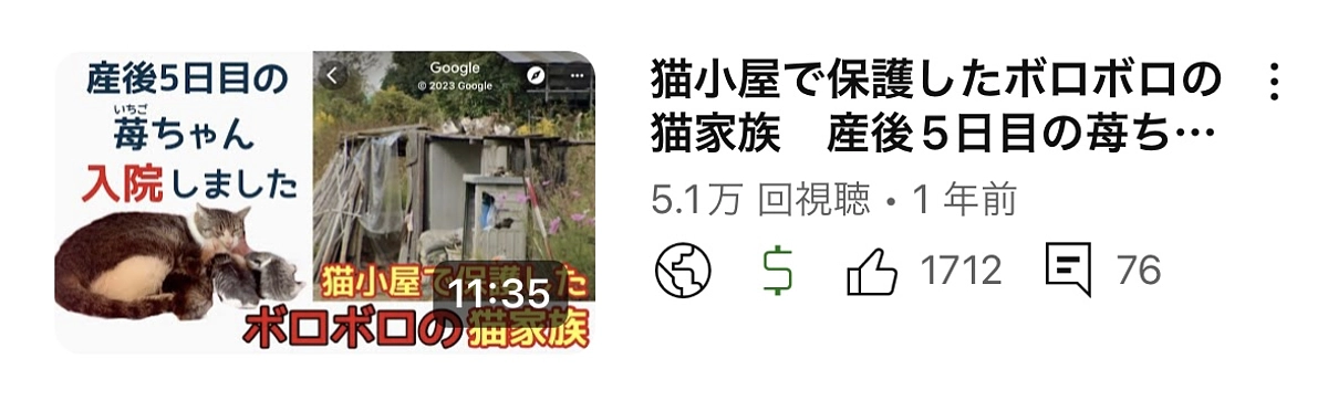 ママになったばかりの苺（いちご）ちゃん入院しました