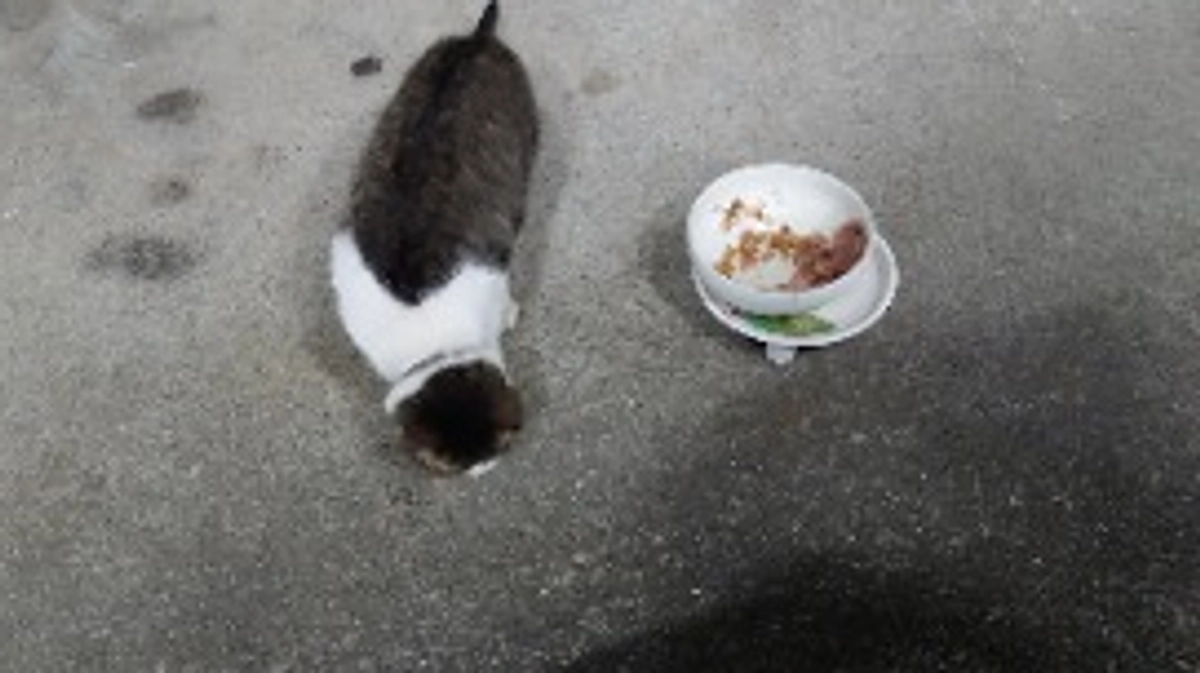 収支報告と支援物資のお願いです。