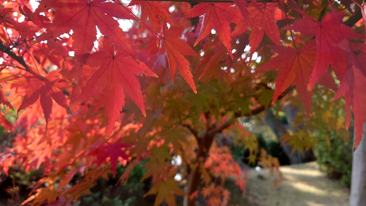 ［リターン］論文およびポスターの提供