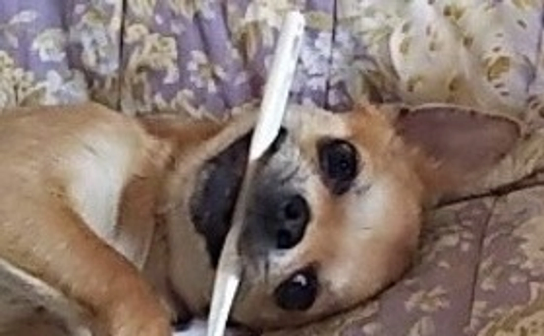 とりあえず応援してくださる方へ感謝のはがき