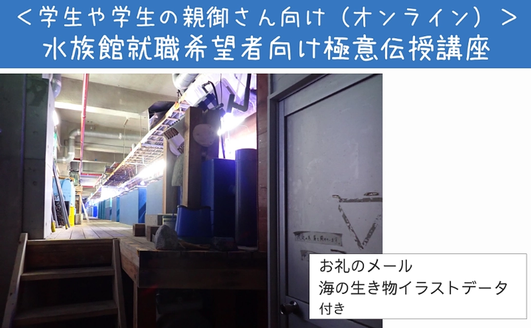 【リターン紹介】体験で応援｜学生や学生の親御さん向け（オンライン）水族館就職希望者向け極意伝