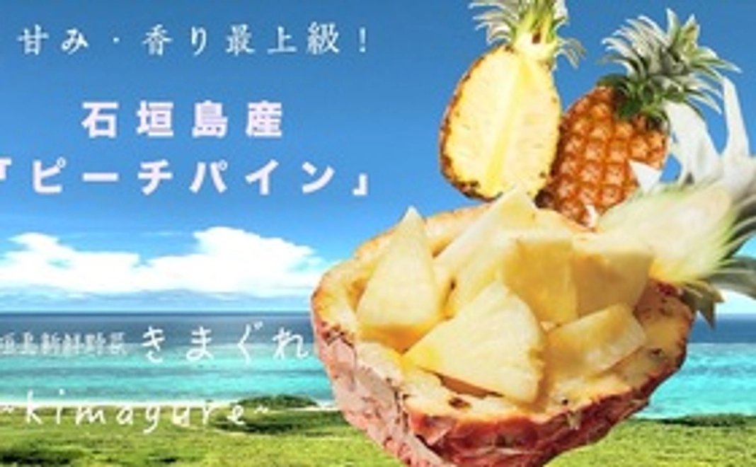 石垣島産「ピーチパイン」3kg