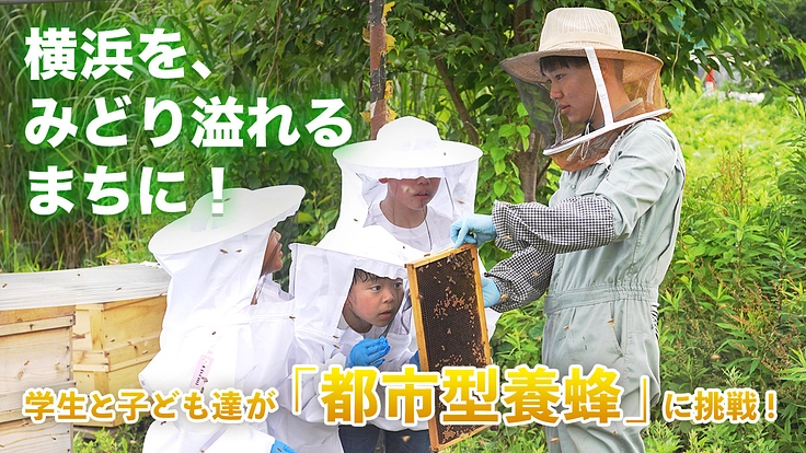 都市型養蜂で横浜を緑溢れる街に！IWASAKIみつばちプロジェクト