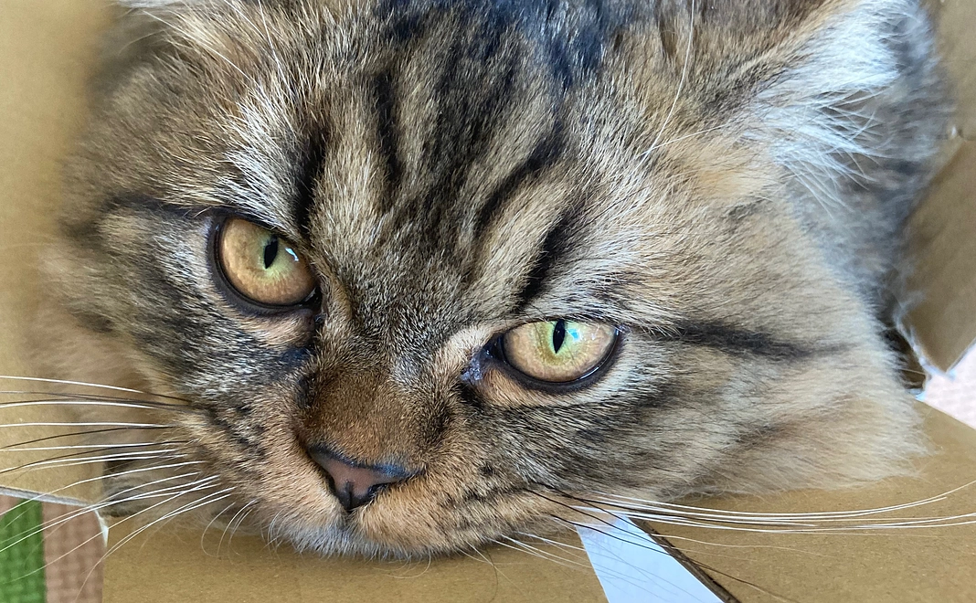 感謝のメール、あず君の活動報告