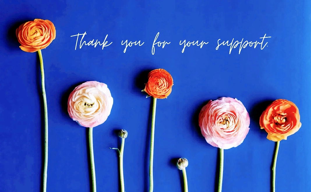 「cafe Lily」を応援！