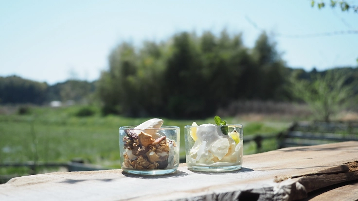 オーガニックなヨーグルトに挑戦！里山を共創する牧場プチオーナー募集 4枚目