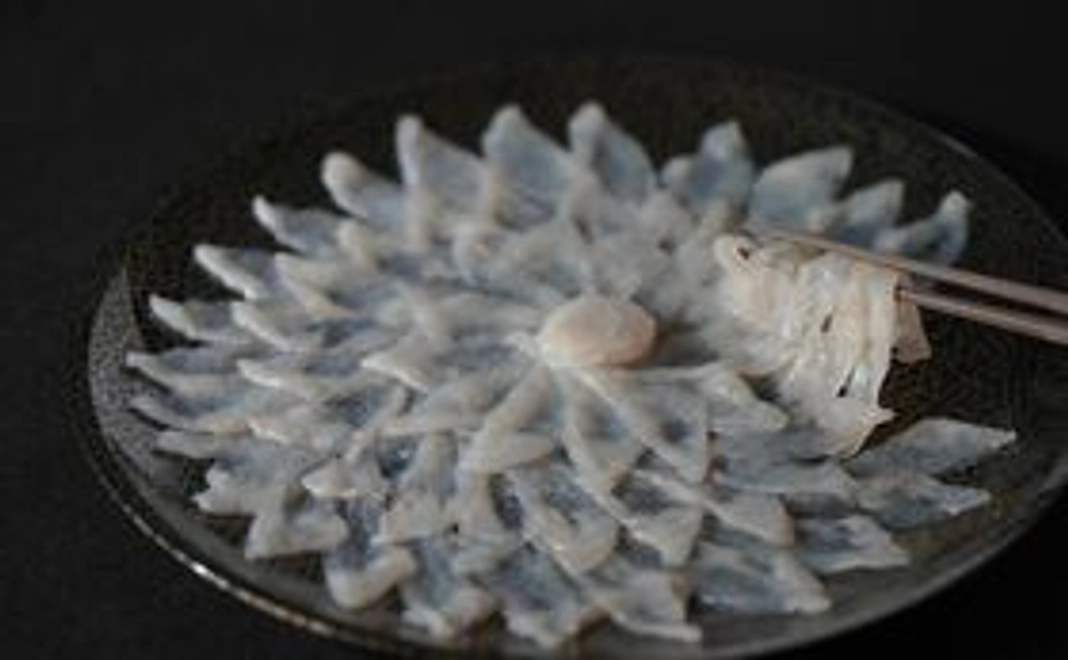 フグ初体験てっさセット追加分（年内発送）