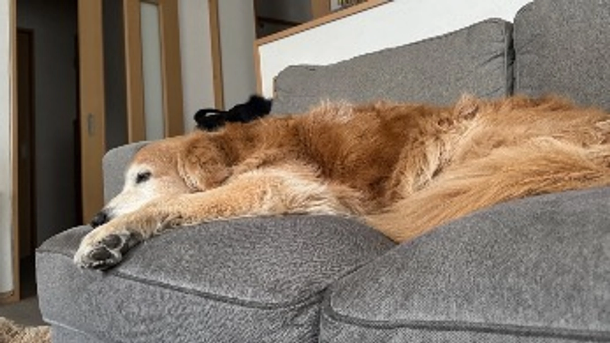 ご飯を食べない一日