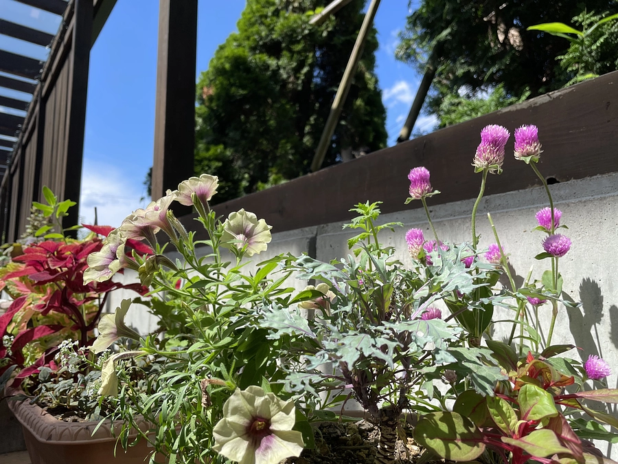 あと3時間！今日のリラのいえでのこと。