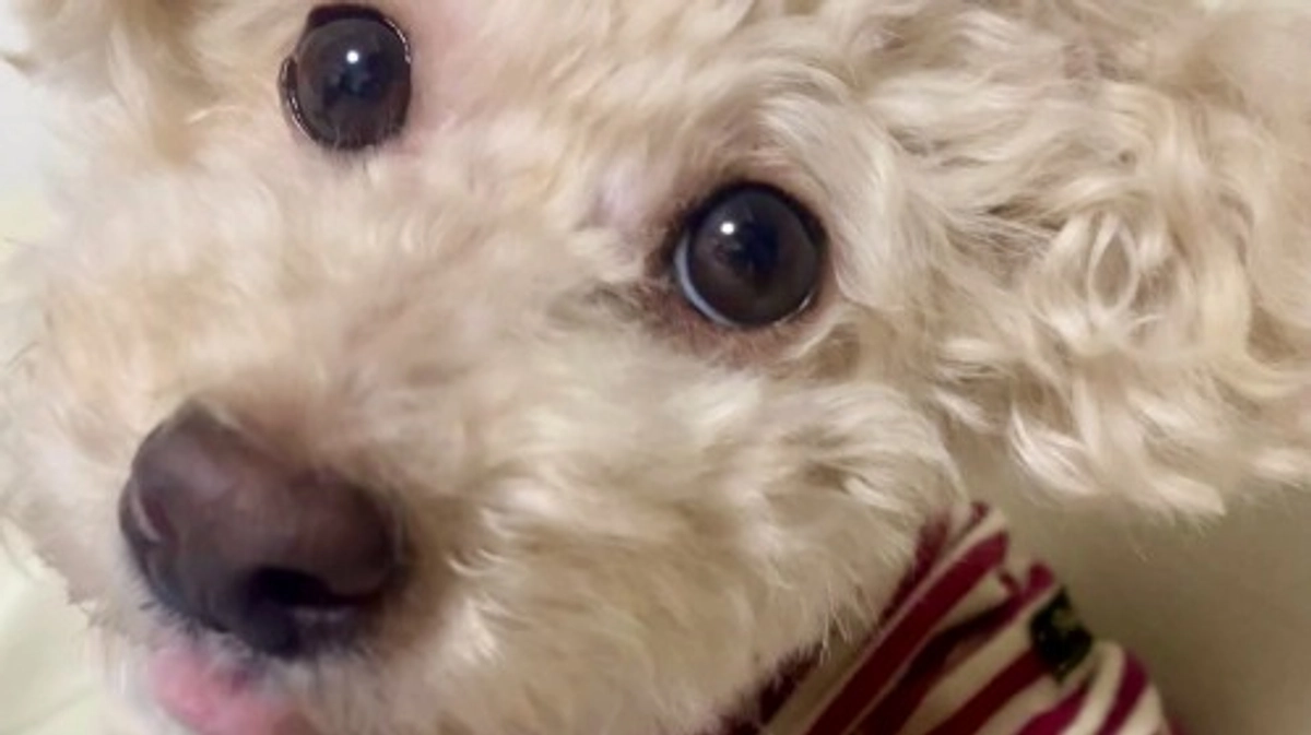 検査結果良好、次回は1か月後です