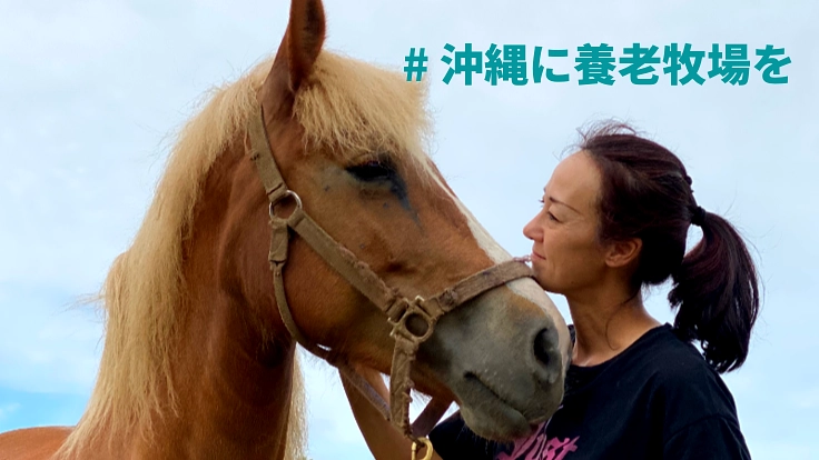見放された馬に再チャンスを!沖縄に引退馬のふれあい牧場を