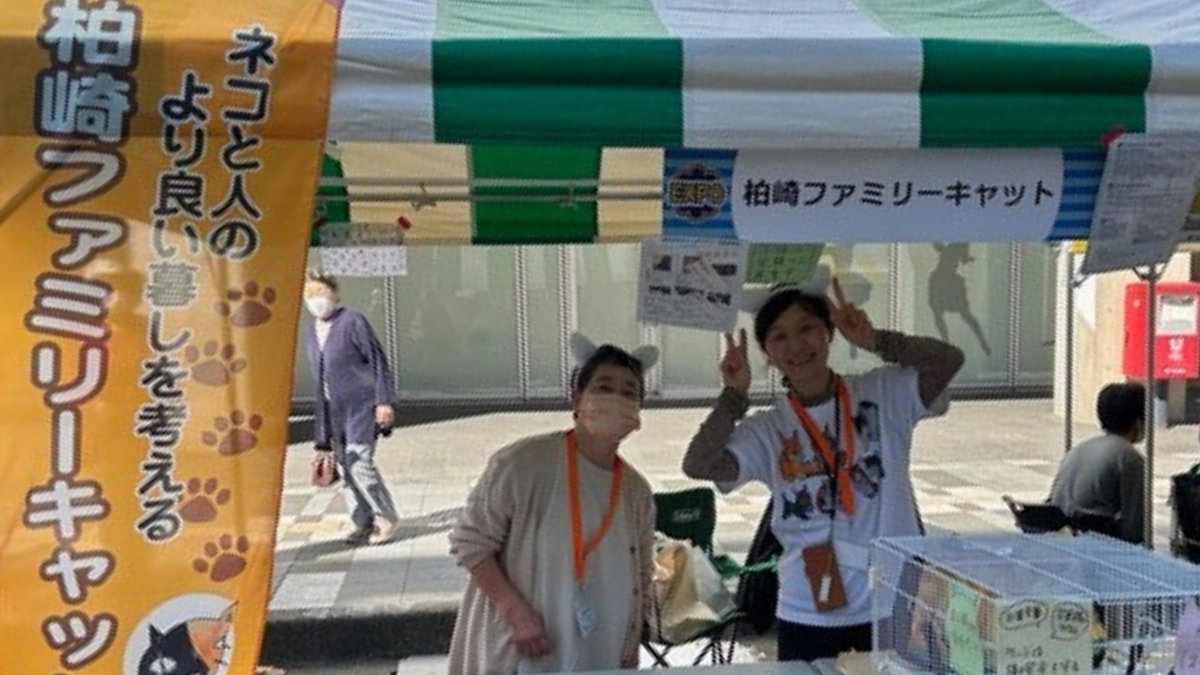 連携する新潟県内の団体紹介：柏崎で啓発・保護・譲渡に取り組む柏崎ファミリーキャット（KFC）