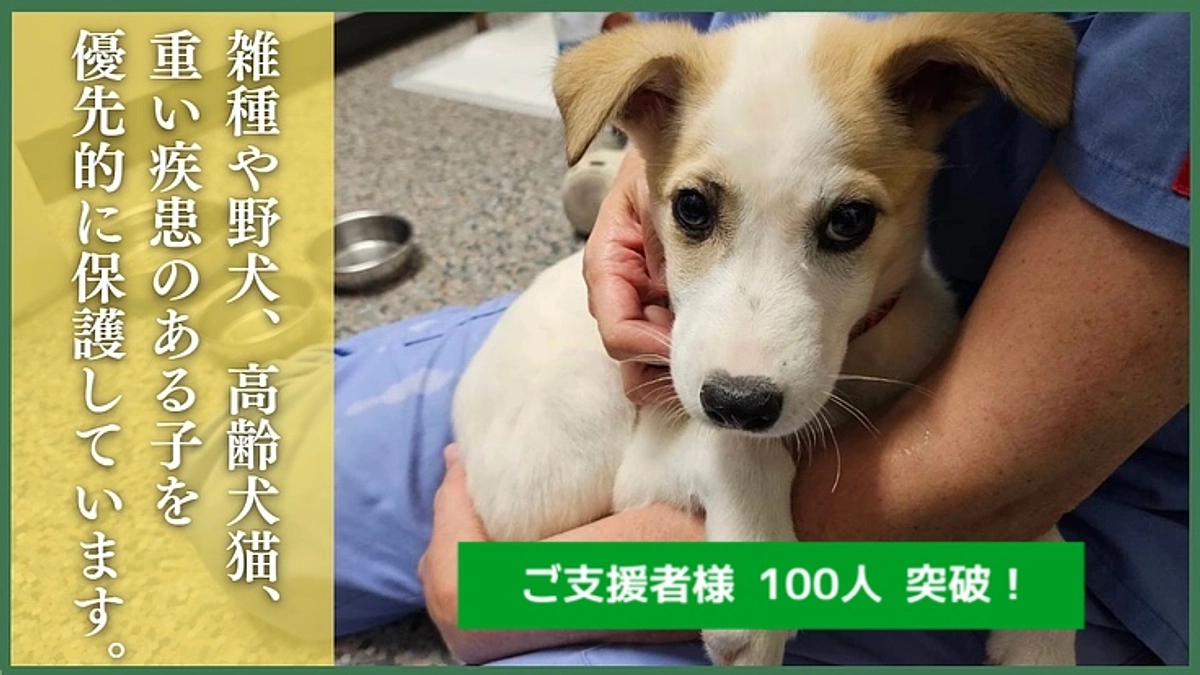 【ご支援者様 100人 突破！】