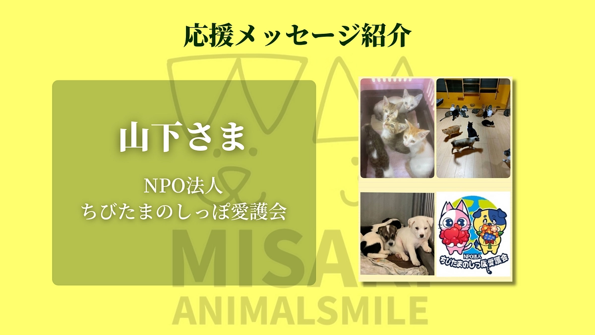 NPO法人ちびたまのしっぽ愛護会 山下さまより応援のメッセージをいただきました！